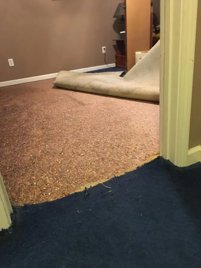 Carpet pad removal revealing water damage during Drying & Dehumidification in Libertyville