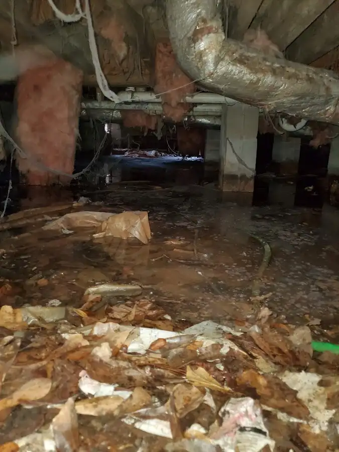 Crawl space flood assessment for Leak Detection & Repair in Libertyville
